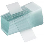 Microscope Slides, Frosted Edge, 3 x 1in,72/box
