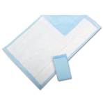 UNDERPADS,DISPOSABLE,STD,FLUFF FILLED,17"X24",BAGS,300/CS