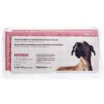 VACCINE,CANINE,INTRA-TRAC KC,25X1 DOSE TRAY