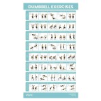 POSTER,WORKOUT,FREE WEIGHTS,FULL BODY,1-SIDED,LAMINATED