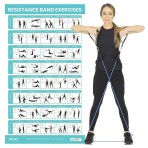 POSTER,RESISTANCE BAND,FULL BODY,LAMINATED