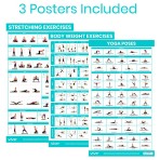 PACK,POSTER,NO EQUIPMENT,YOGA,BODY WEIGHT,STRETCHING,FULL-COLOR,LAMINATED