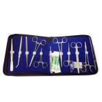 DISSECTION KIT,10 INSTRUMENTS,W/CASE,EACH
