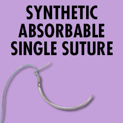 SUTURE,SYN ABS,1,TAPER POINT NEEDLE,EACH