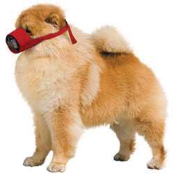 MUZZLES,SMALL CHOW QUICK MUZZLE FOR DOGS RED