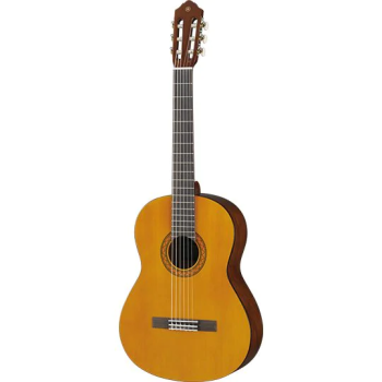 Guitars