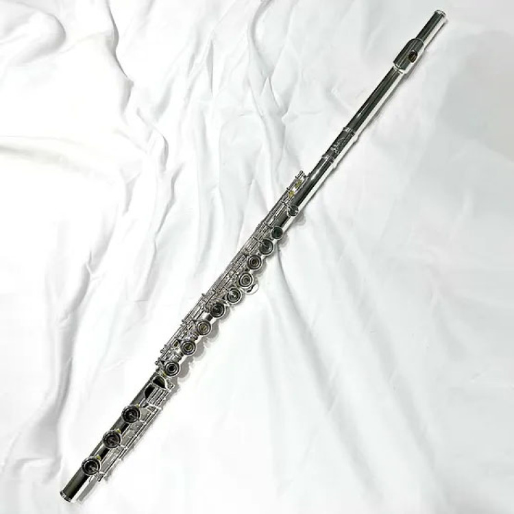 Entius Intermediate Flute with Solid Silver Headjoint and silver-plated body and keys