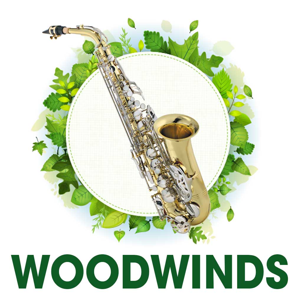 Popular Accessories for Woodwind Players