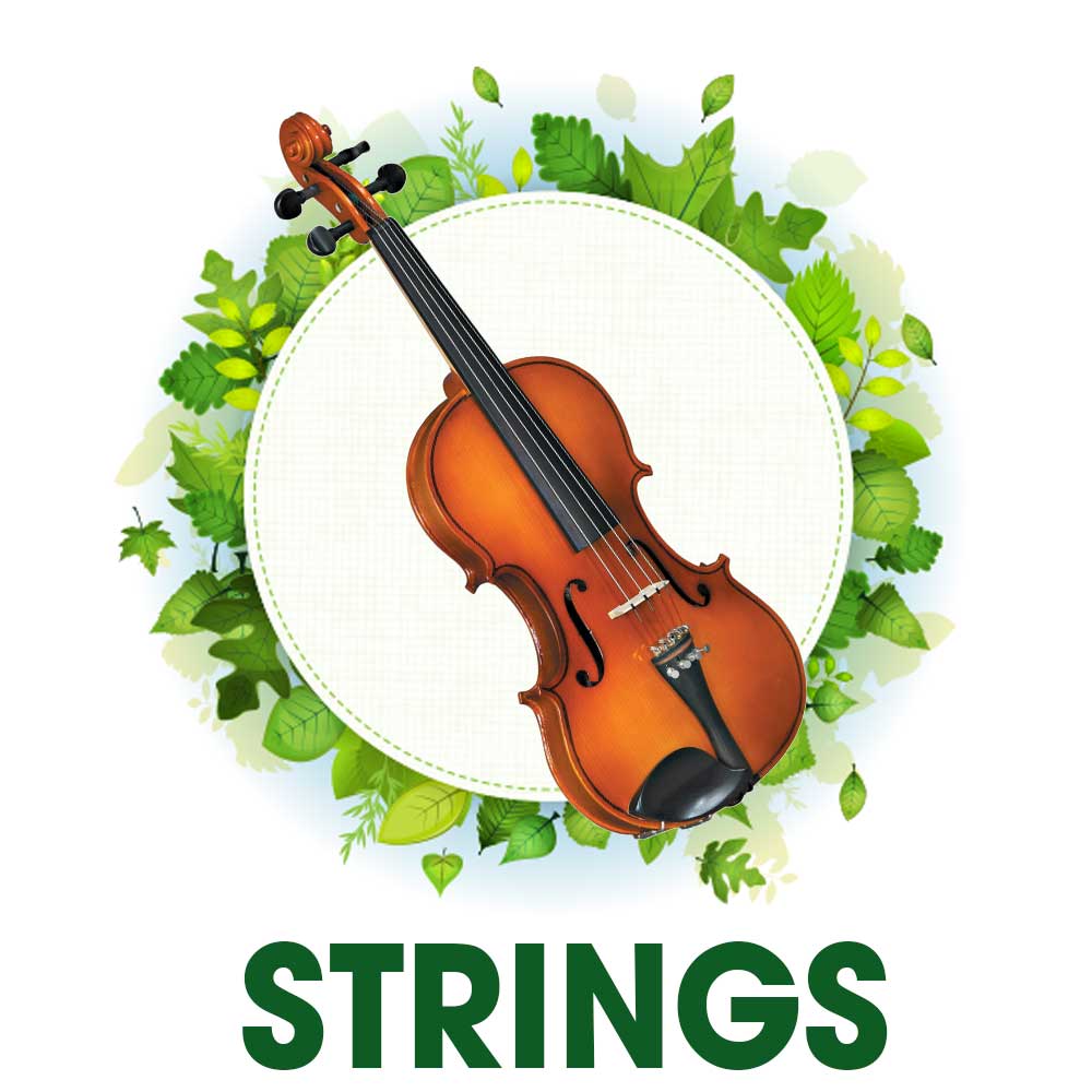 Popular Accessories for String Players