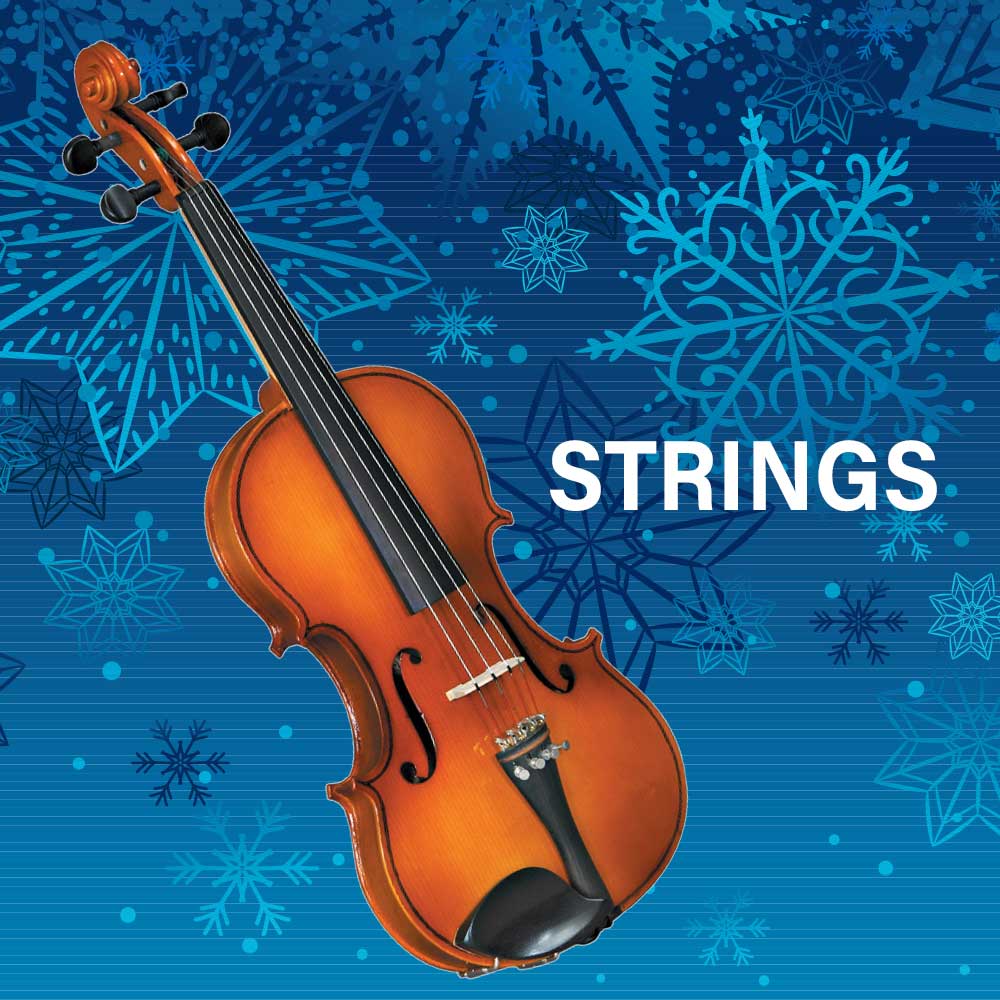 Popular Accessories for String Players