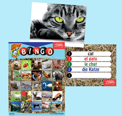 Animal Bingo & Flashcards