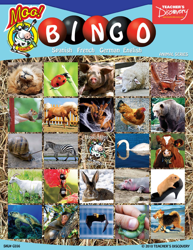 Animals Bingo