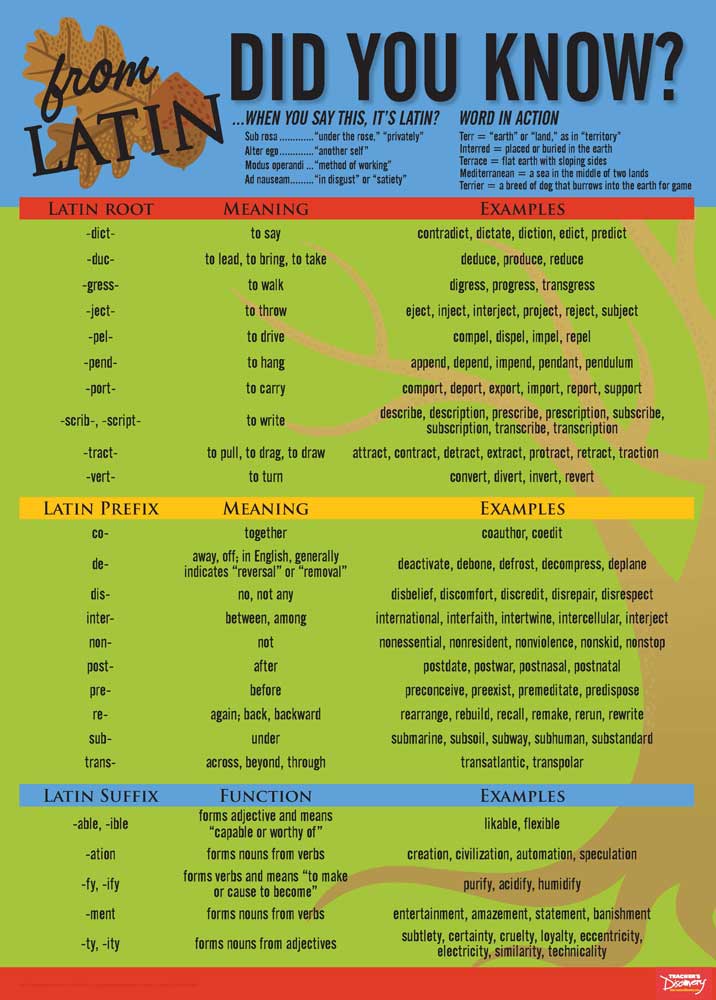 Latin Language Common Roots Poster