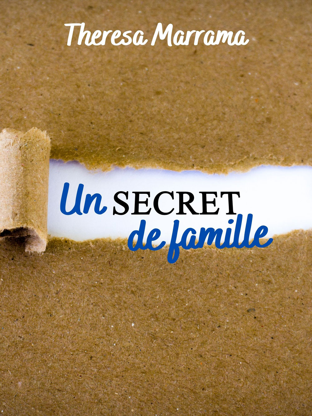 Un secret de famille Level 3 French Reader