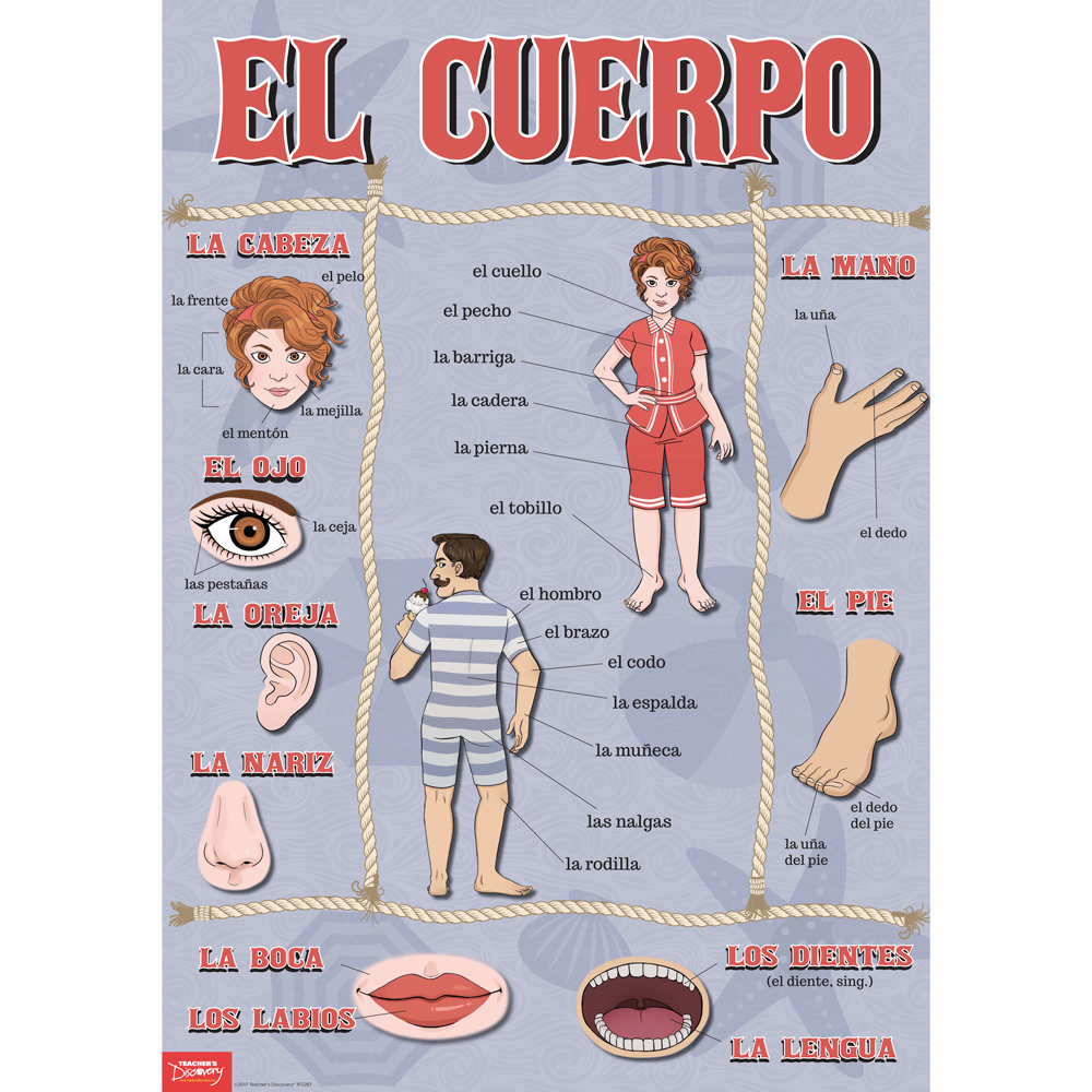 Body Parts Spanish Poster