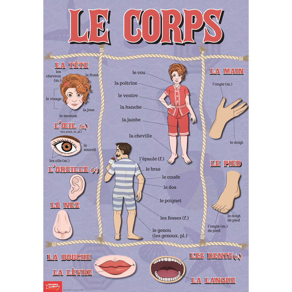 Body Parts French Poster