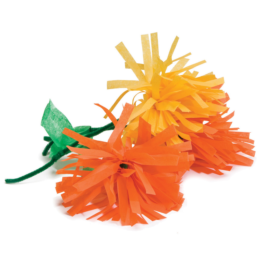 Marigold Flower Spanish Kit