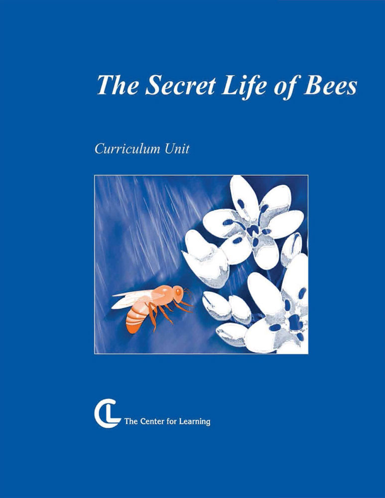 The Secret Life of Bees Curriculum Unit
