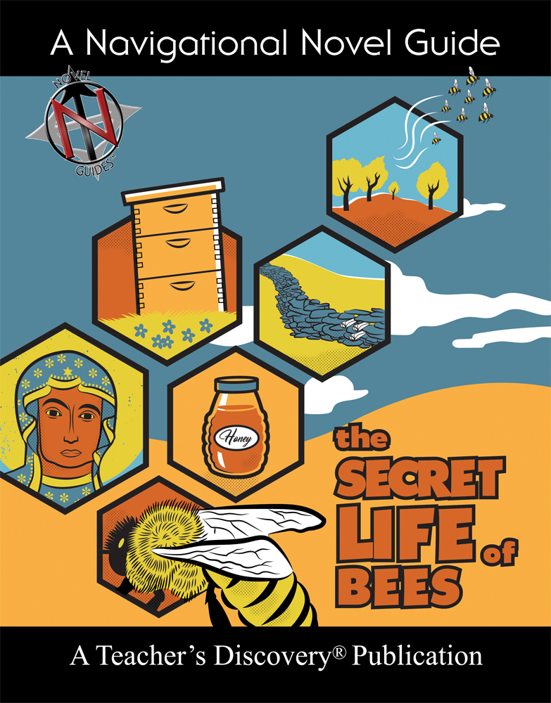 The Secret Life of Bees Novel Guide Book