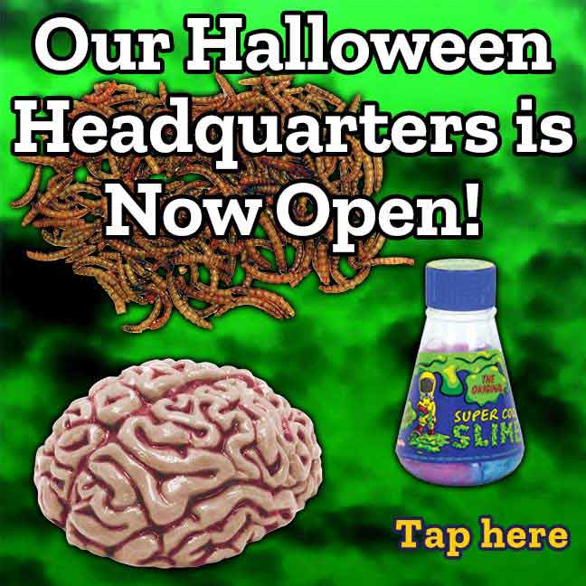 Our Halloween Headquarters is Now Open!