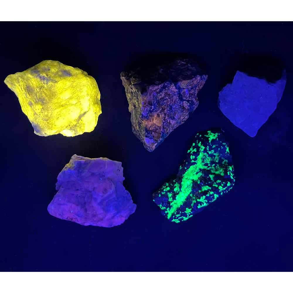 Fluorescent Mineral Set - 5 Samples