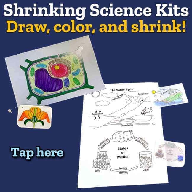 Shrinking Science Kits Draw, color, and shrink!