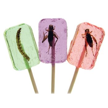 Cricket & Larva Licket Lollipops - Cricket Lollipop (single)