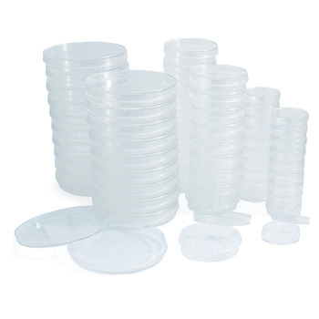 Petri Dishes - 20 Mini Petri Dishes