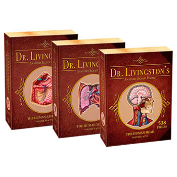 Dr. Livingston's Anatomy Jigsaw Puzzles - Anatomy Jigsaw Puzzles - Set of 3 (Head, Thorax, and Abdomen)