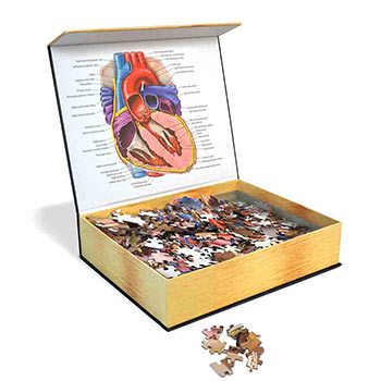 Dr. Livingston's Unique Shaped Anatomy Puzzles - Anatomy Jigsaw Puzzle: Heart