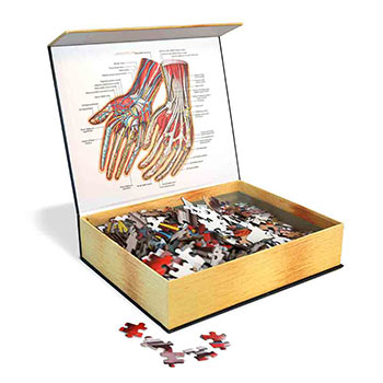 Anatomy Jigsaw Puzzle: Hands