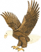 American Bald Eagle Intarsia Pattern
