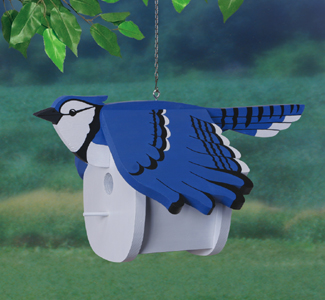 Product Image of Bluejay Birdhouse Wood Project Pattern
