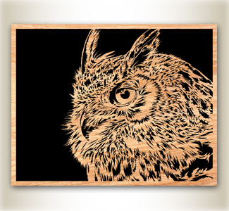 Owl Scrolled Art Design Pattern