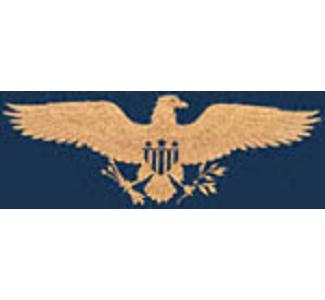 Product Image of Freedom Eagle Scroll Saw Pattern 