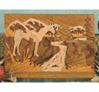 Horse Scene Puzzle Project Pattern