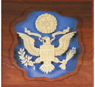 United States Seal Project Pattern