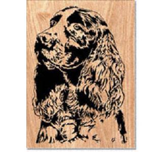 Product Image of Springer Spaniel Project Pattern