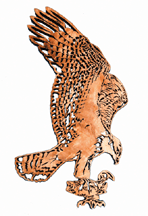 Product Image of Birds of Prey - Set of 3  Project Patterns