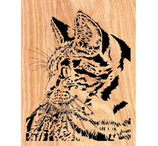 Curious Kitty Scrolled Art Design Pattern