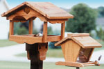 Product Image of Bird Feeders Wood Patterns