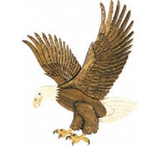 Product Image of American Bald Eagle Intarsia Pattern