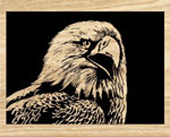 Product Image of Eagle Scroll Saw Pattern 