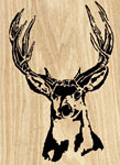 Mule Deer Project Pattern