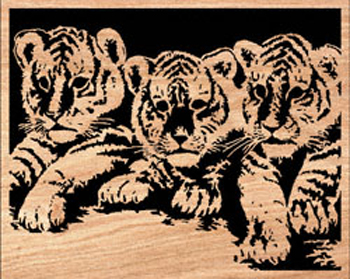 Playful Cubs Scrolled Art Pattern