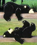 Product Image of Lazy Bear Cubs Rail Pets Pattern