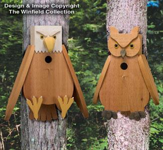 Product Image of Cedar Eagle & Owl Birdhouse Plans