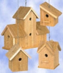 Cedar Birdhouses #3 Wood Project Plan