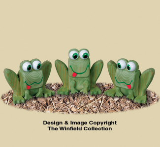 Product Image of 4x4 Frog Trio Pattern