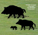 Wild Boar Family Shadow Pattern